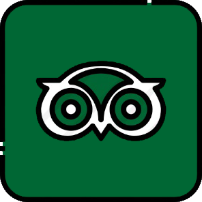 TripAdvisor